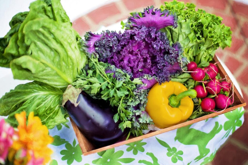 名人先生の教え・体調アップと風邪予防には奇数で野菜を摂る！